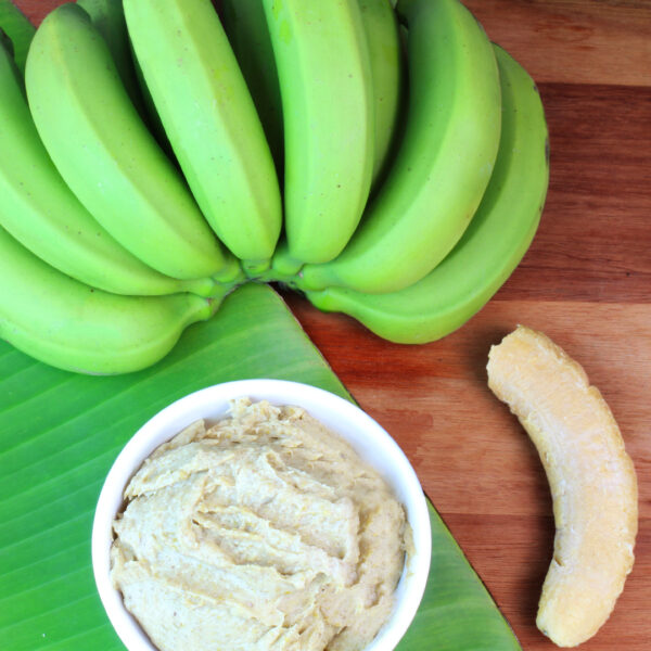 Como Utilizar Biomassa de Banana Verde