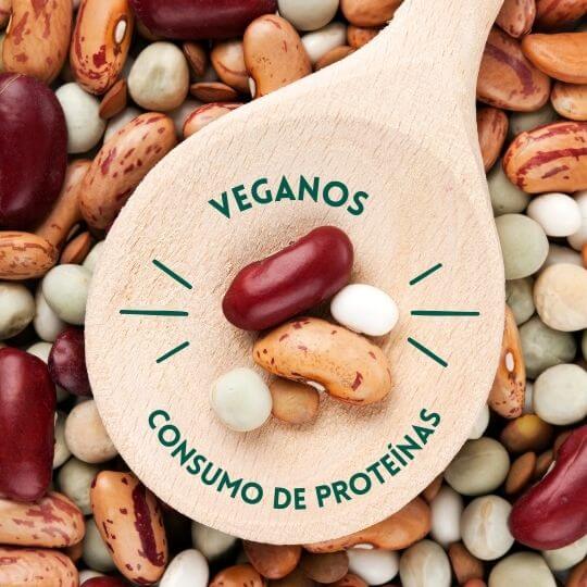Veganos: Fontes de Proteínas Vegetais para uma Vida Sustentável